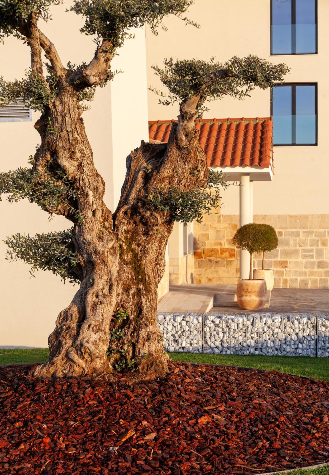 Hotel Rural Finca La Desa Miajadas المظهر الخارجي الصورة